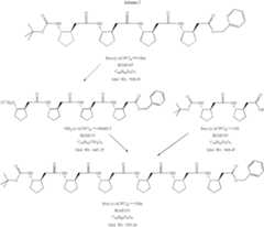 Figure US06958384-20051025-C00020