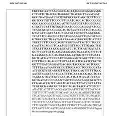 Figure imgf000424_0001