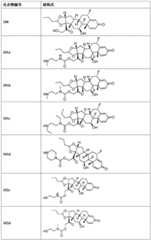 Figure BDA0002889616220000701