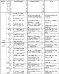 Figure imgf000012_0001