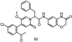 Figure GPA0000257967300001032