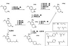 Figure GPA00001084614800621