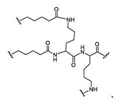 Figure 2023012548000045