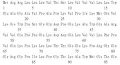 Figure 111115932-A0305-02-0022-12