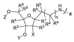 Figure imgf000005_0001