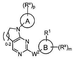 Figure 112016119396583-pat00024