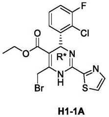 Figure BDA0003122494520000461
