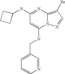 Figure US07119200-20061010-C04842