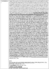 Figure imgf000244_0001