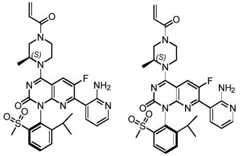 Figure BDA0002861043520000921