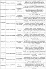 Figure PCTCN2022090268-appb-000037