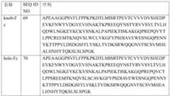 Figure PCTCN2019123555-APPB-000039