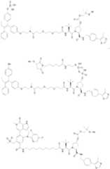 Figure imgf000566_0001