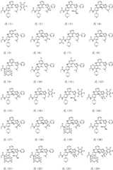 Figure GDA0002653239980000121