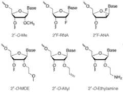 Figure imgf000036_0001