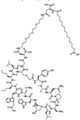 Figure imgf000421_0001