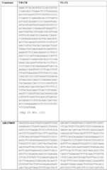 Figure imgf000108_0001