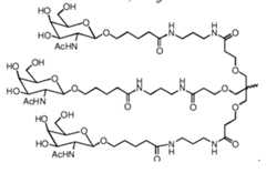 Figure imgf000006_0001