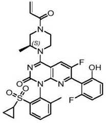 Figure BDA0002861043520000741