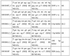 Figure imgf000049_0001