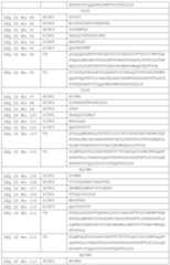 Figure PCTCN2019114818-appb-000019