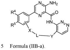 Figure imgf000131_0001
