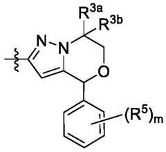 Figure BDA0002731674970000252