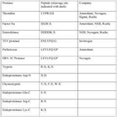 Figure imgf000031_0001