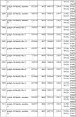 Figure imgf000340_0001