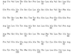 Figure 104128985-A0202-12-0222-255