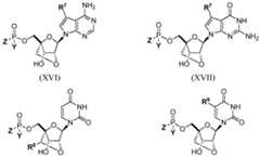 Figure imgf000169_0001