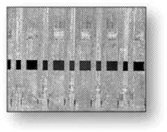 Figure imgf000018_0001