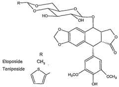 Figure imgf000166_0001