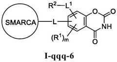 Figure BDA0003783300830001511