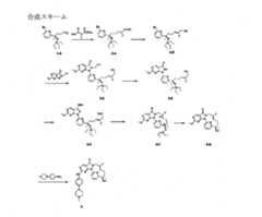 Figure 0007481336000039