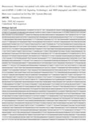 Figure imgf000533_0001