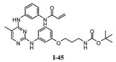 Figure 112016119396583-pat00333