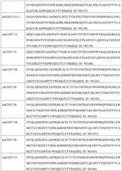 Figure GDA0002332994560000311