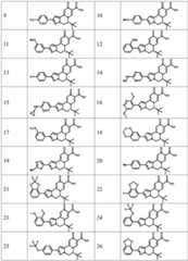 Figure FDA0003141290400000071