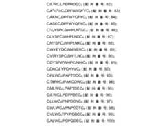 Figure 0007704732000162