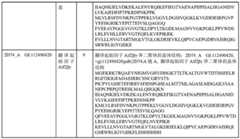 Figure BDA0000429500830000141