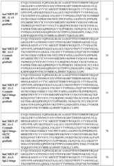 Figure imgf000044_0001