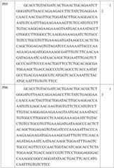 Figure BDA0001434941100000441