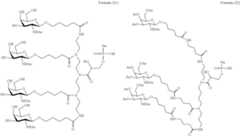 Figure US11896674-20240213-C00033