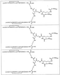 Figure 112005065158015-pct00035