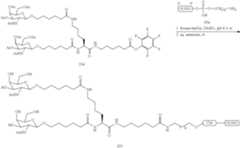 Figure US09181550-20151110-C00351