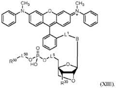 Figure imgf000147_0002