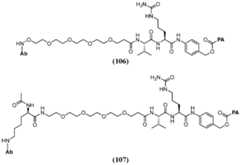 Figure imgf000055_0002
