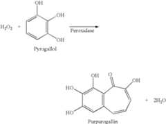 Figure US08410182-20130402-C00001