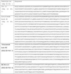 Figure imgf000038_0001